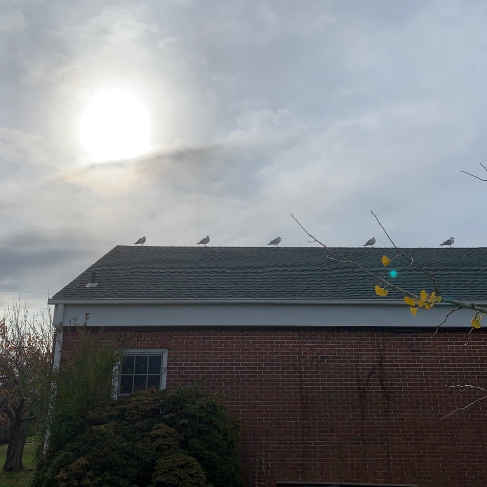 Meet your Posher, Holly